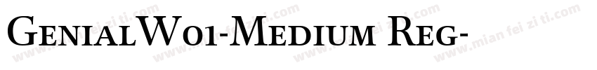GenialW01-Medium Reg字体转换